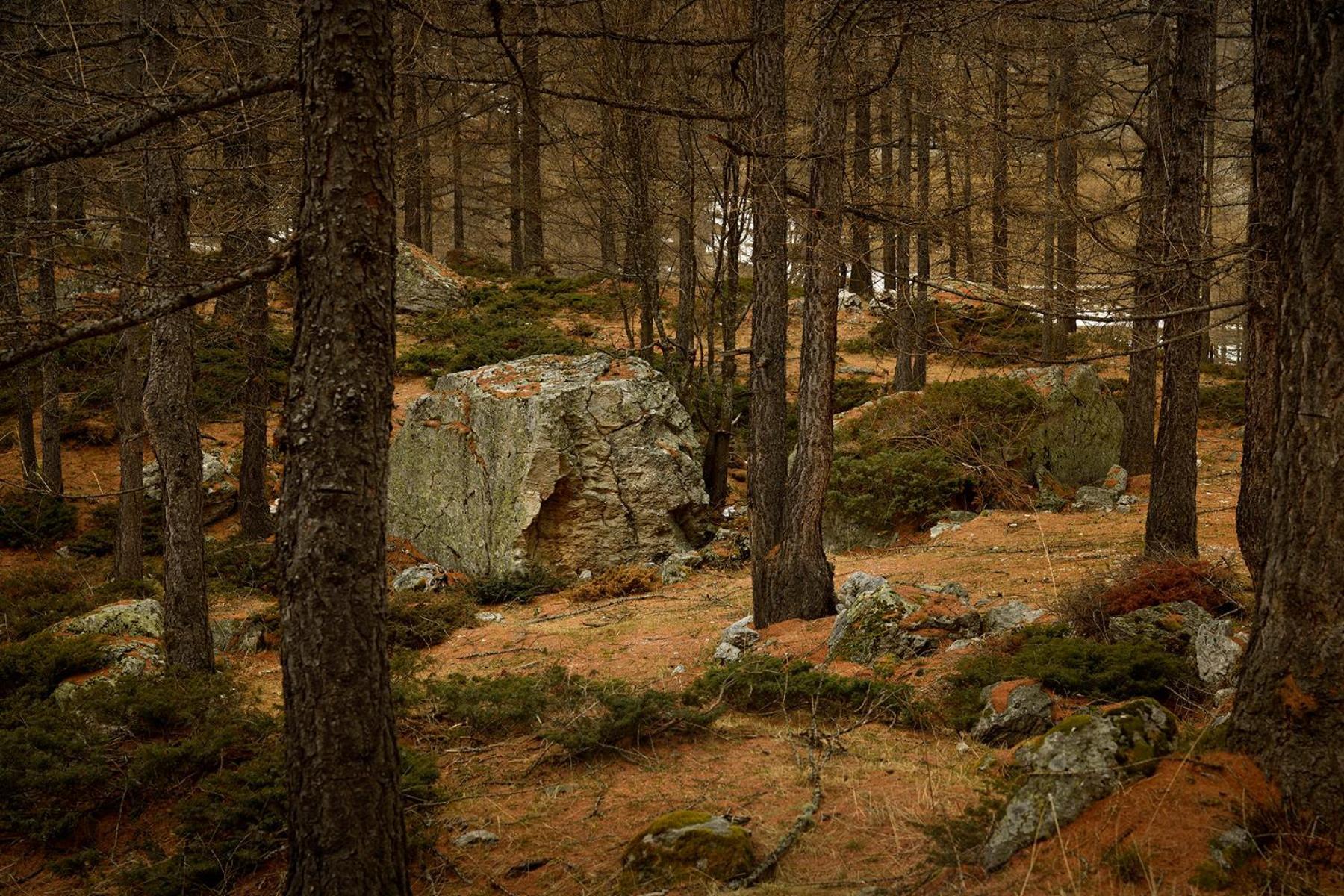Hotel Rifugio Lou Lindal Canosio Zewnętrze zdjęcie